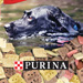 Purina Alpo Variety Snaps Treats Purina Alpo Variety Snaps Treats